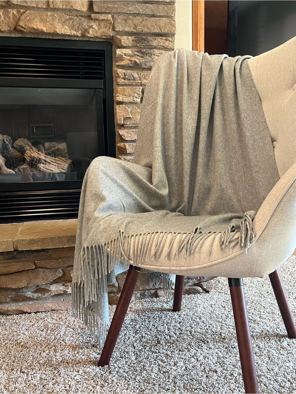 Restoration Hardware 💯 Cashmere Throw
